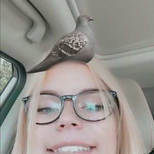 Meet your Posher, Ruby